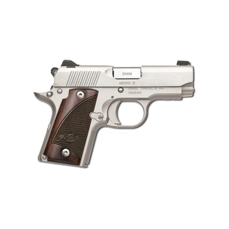 kimber stainless